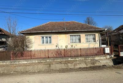 Casă cu Teren 2600 Mp în Biușa - 5