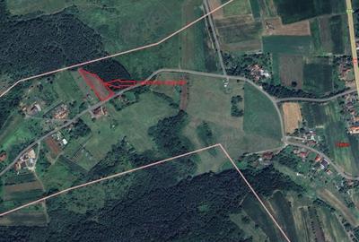 Teren de 2882 mp, în Bejan - 2