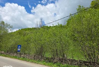 Spațiu comercial, în Ciupercenii Noi - 3