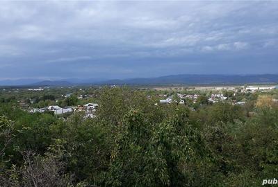 Casă cu 5 camere cu Teren 398 Mp în Băicoi - 6