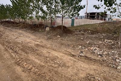 Theodor Pallady, Gura Solcii, 6000mp, vazare teren intravilan - 7