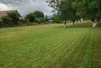 Spațiu comercial, în Băcel - 8