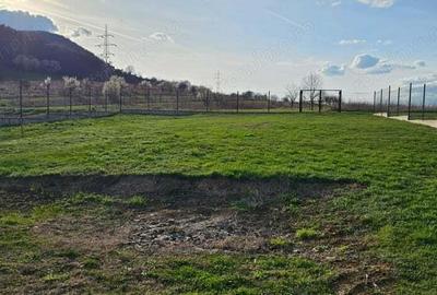 Teren intravilan cu proiect constructie casa, situat in Mintia - 14
