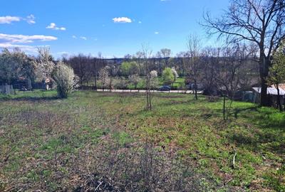 Teren Construcții intravilan de 2592 mp, în Polovragi - 3