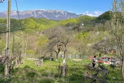 Teren de 1365 mp, în Berislăvești - 3