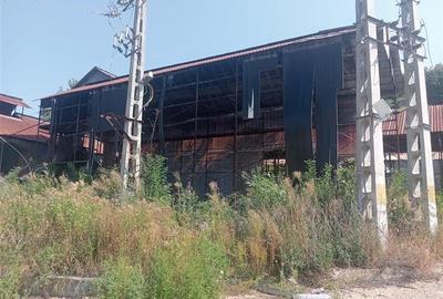 Spatii industriale pe teren de 12500 mp Daesti Valcea - 6