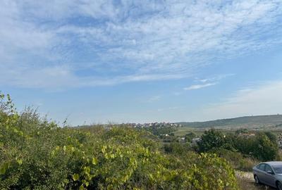 TEREN INTRAVILAN , 500 MP , LUNCA CETATUII-CARTIER CRIHAN - 3