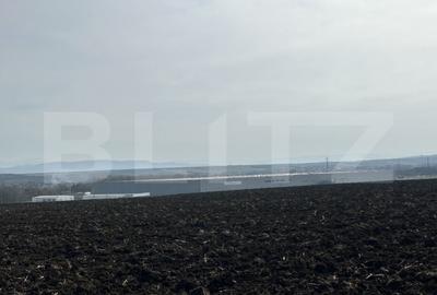 Teren de 15000 mp, în Sântuhalm - 4