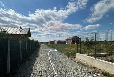 Teren de 1000 mp, în Cătălina - 3