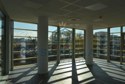 Spatiu de birouri, 160mp utili, zona Cantemir - 20