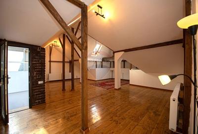 Casa-Vila pentru inchiriere  in zona Muncii-Decebal - 4