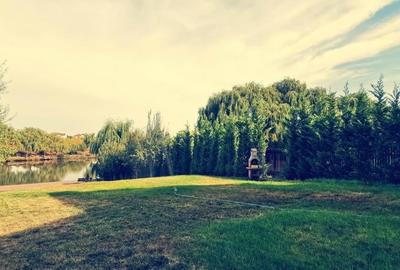 Corbeanca Lac Vila P 1, poton, teren 1500mp - 9