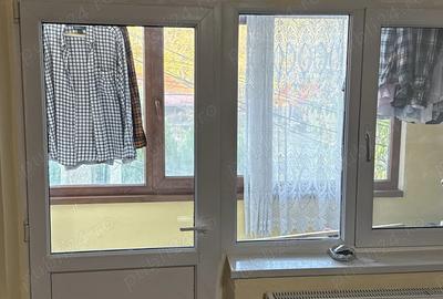 Buzias Timis apartament cu 1 camera de vanzare complet mobilat si izolat - 11