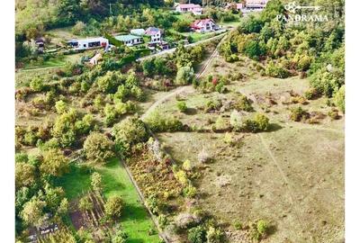Teren intravilan cu vedere panoramică  4230mp – Mediaș - 6