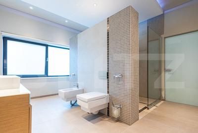 Vila, 8 camere, 790 mp utili, zona Lunei - 3