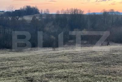 Teren de 27759 mp, în Central - 3