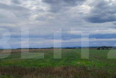 Teren extravilan de vanzare, 21.750 mp, Satu Mare - 1