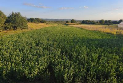 Casă cu 4 camere în Urvind - 4