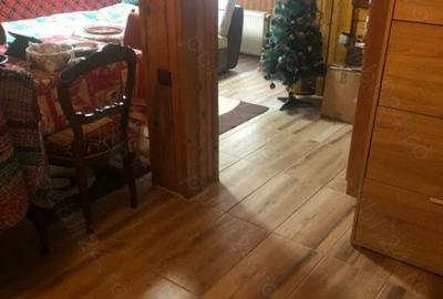 Case de vacanta zona Rasinari - 2