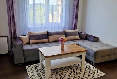 Apartament cu 2 camere semidecomandat în Ultracentral - 9
