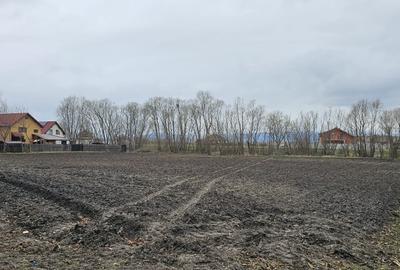 Vanzare teren de case, 3000 mp, Halchiu, - 2