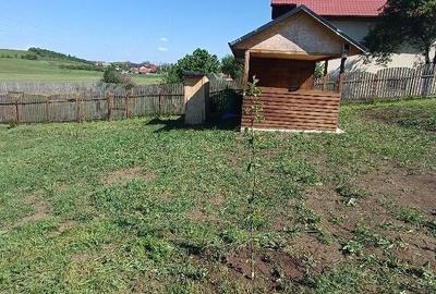 Teren de 1307 mp, în Aghireșu - 5