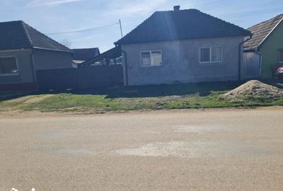 Casă cu 2 camere decomandat cu Teren 1230 Mp în Bocsig - 9