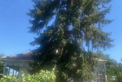 Casă cu 4 camere în Însurăței - 4