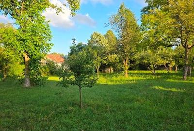 Teren intravilan de 2500 mp, în Breaza de Jos - 14