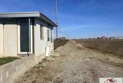 Casa de vacanta in Alba Iulia - Oarda de Sus Casa de vacanta in Alba Iulia - Oarda de Sus - 11