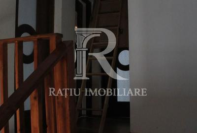 Casă cu 5 camere cu Teren 4458 Mp în Bratca - 4