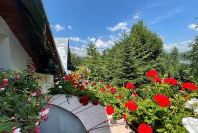 Proprietate deosebita cu gradina superba, luxurianta, 3000 mp, Breaza - 8