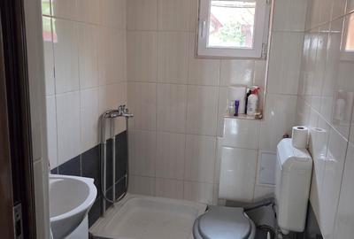 Casă cu 6 camere cu Canalizare în Bragadiru - 9
