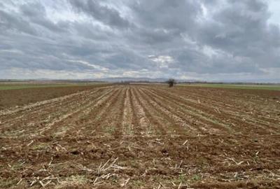 Teren extravilan 2500 mp,cu acces la Centura ,Radauti - 5