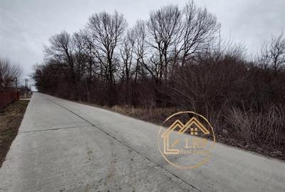 Dragomiresti Vale-Padure-teren intravilan, certificat urbanism 2025 - 7