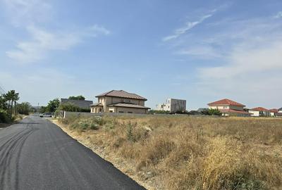 Teren de 6000 mp, în Lazu - 6