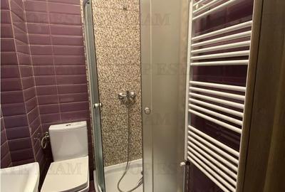 Apartament cu 3 camere decomandat, mobilat în Dobroești - 6