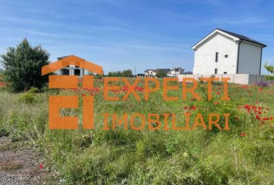 Teren intravilan in KM 5, la VETERANI - PRELUNGIREA TRACTORULUI Teren intravilan in KM 5, la VETERANI - PRELUNGIREA TRACTORULUI - 19