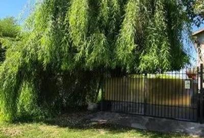 Casă cu 5 camere cu Teren 794 Mp în Livedea - 3