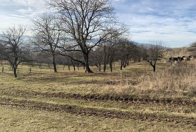 Spațiu comercial, în Huedin - 3