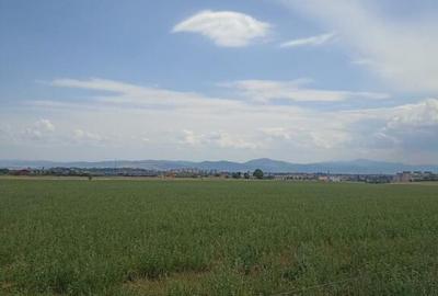 De vanzare terenuri extravilane in Sfantu Gheorghe - 6