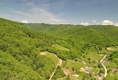 Teren de 16000 mp, în Poiana Mărului - 15