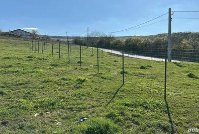 Teren de 680 mp, în Goruni - 2