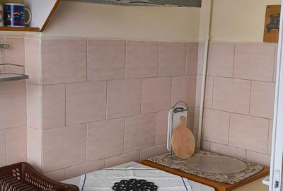 Apartament cu 2 camere semidecomandat în Ultracentral - 11
