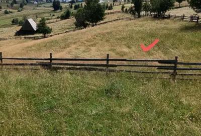 Teren de 5630 mp, în Măguri-Răcătău - 2