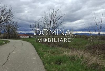 Teren de 20386 mp, în Câlnic - 7