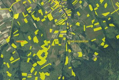 Teren de 3700 mp, în Dalboșeț - 4