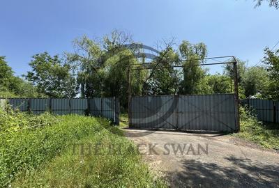 Hala de vanzare | 1.100mp I Boldesti-Scaieni - Randament ... - 16