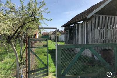 Casă cu Teren 3000 Mp în Ianoșda - 1