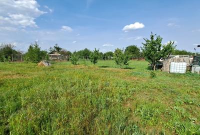 Giurgiu Loc de casa la 27 km de Bucuresti, 1265mp - 2